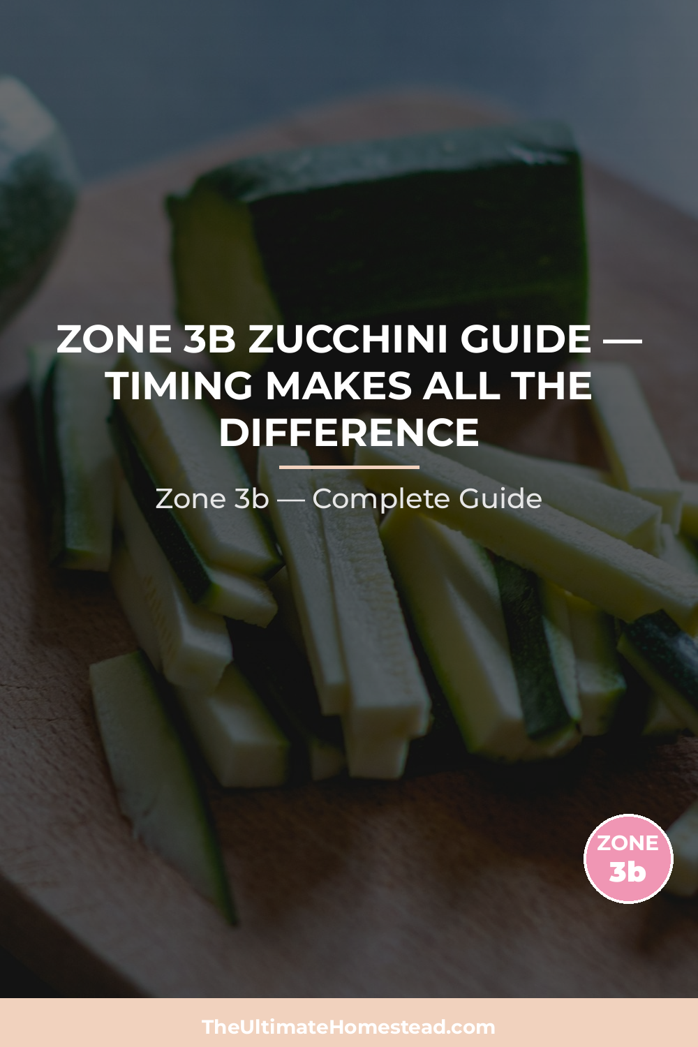 When to Plant Zucchini in Zone 3b