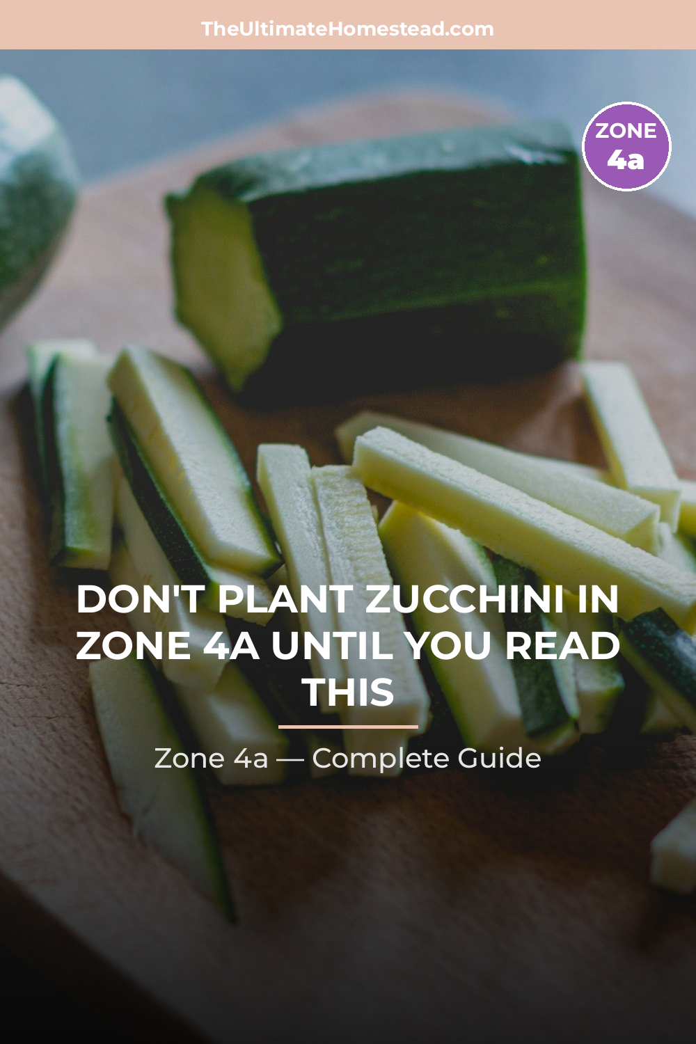 When to Plant Zucchini in Zone 4a