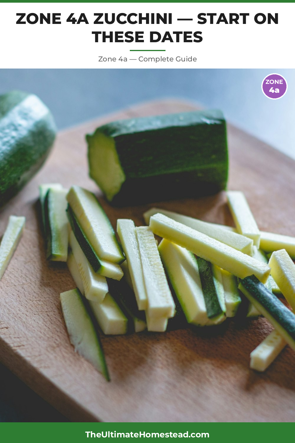 When to Plant Zucchini in Zone 4a