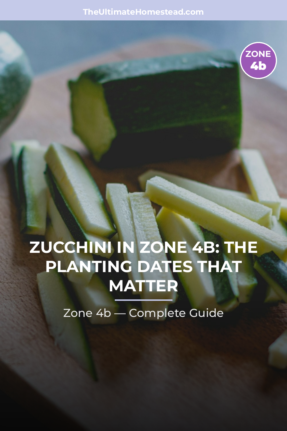 When to Plant Zucchini in Zone 4b