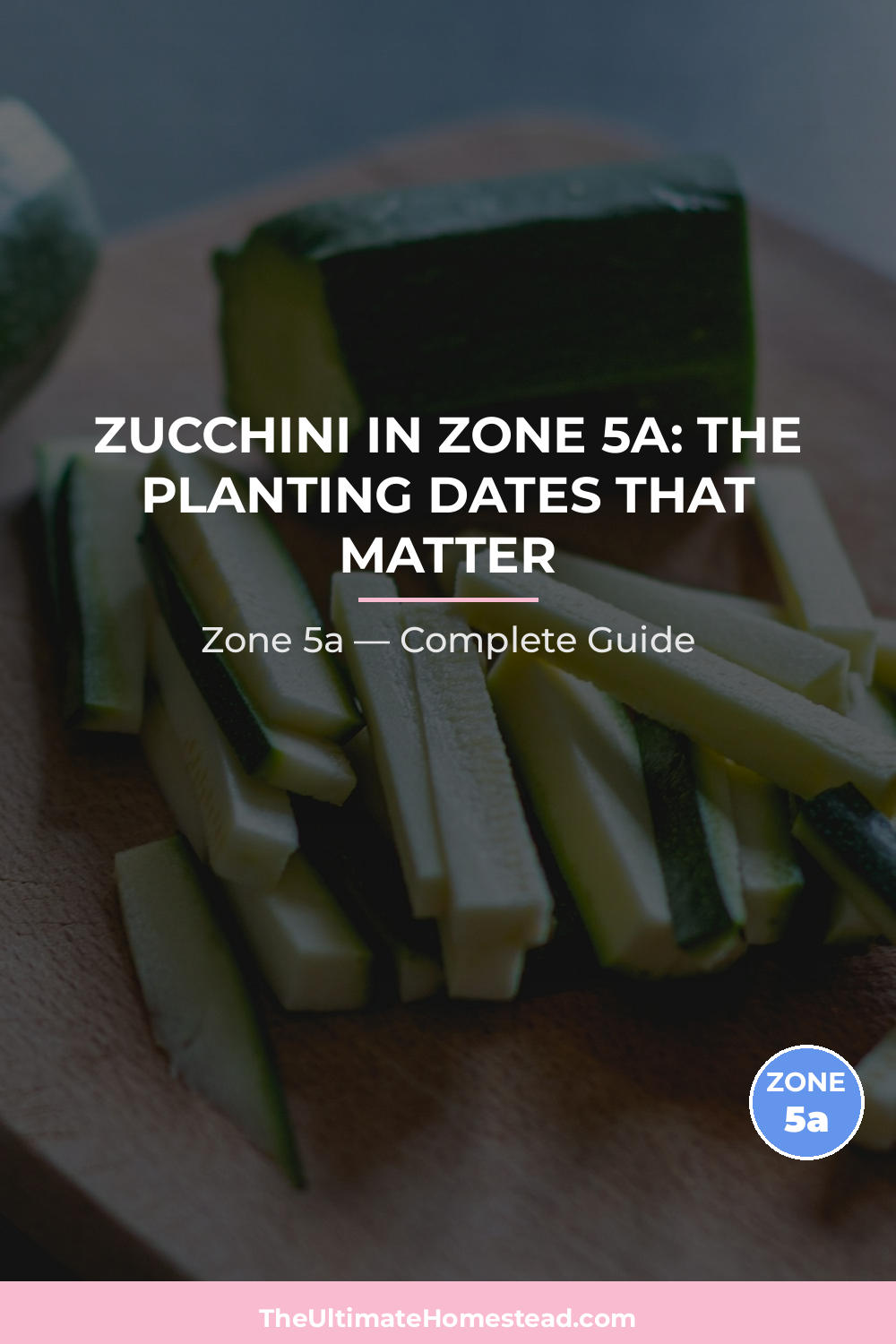 When to Plant Zucchini in Zone 5a