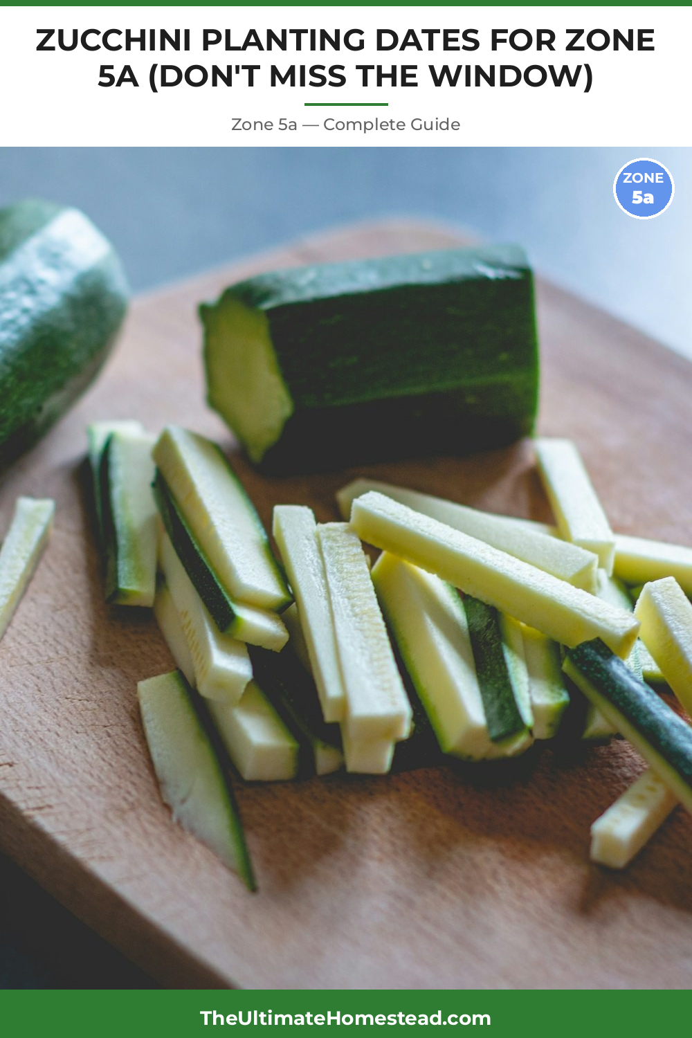 When to Plant Zucchini in Zone 5a