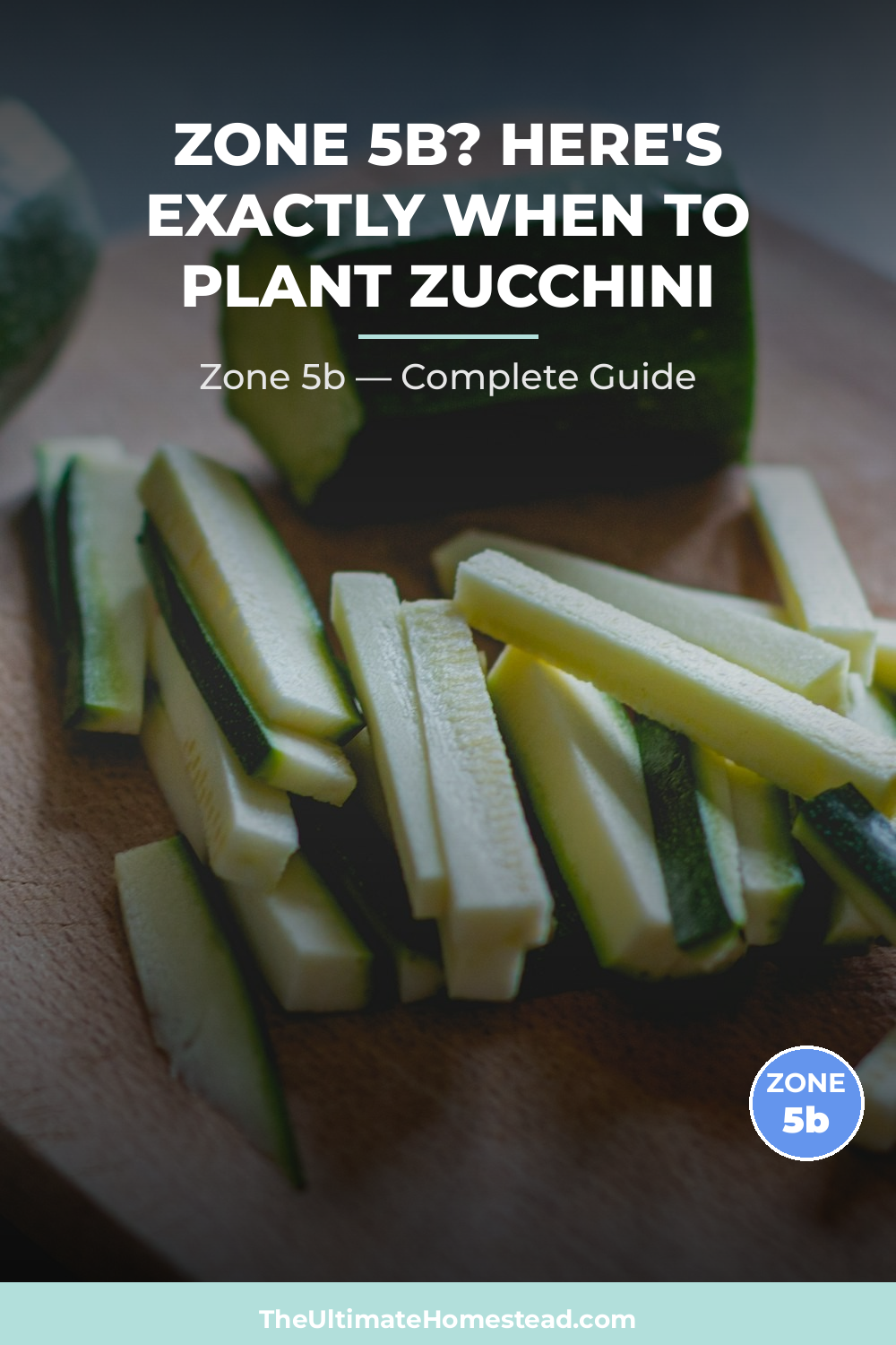 When to Plant Zucchini in Zone 5b