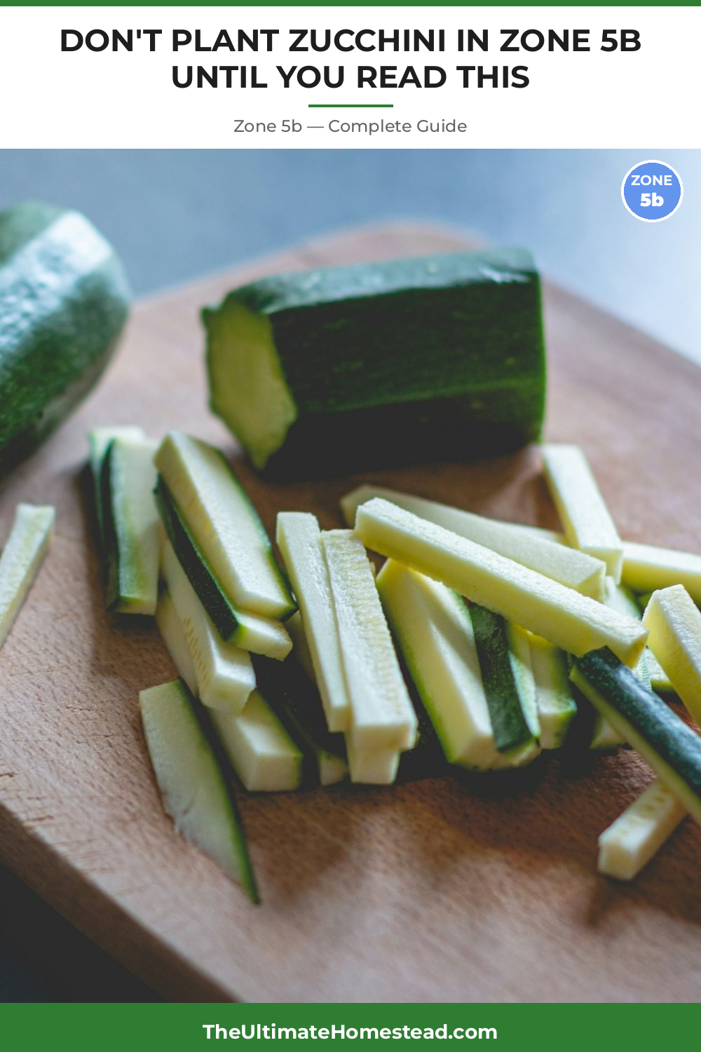 When to Plant Zucchini in Zone 5b