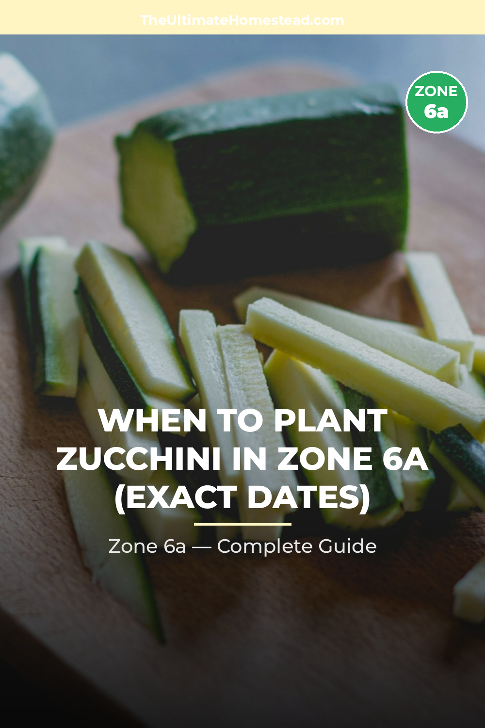 When to Plant Zucchini in Zone 6a