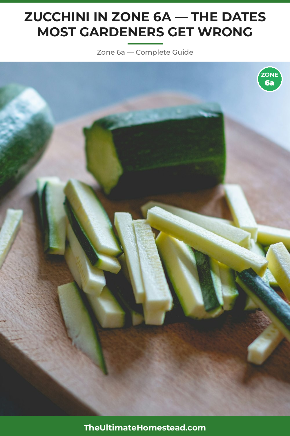 When to Plant Zucchini in Zone 6a