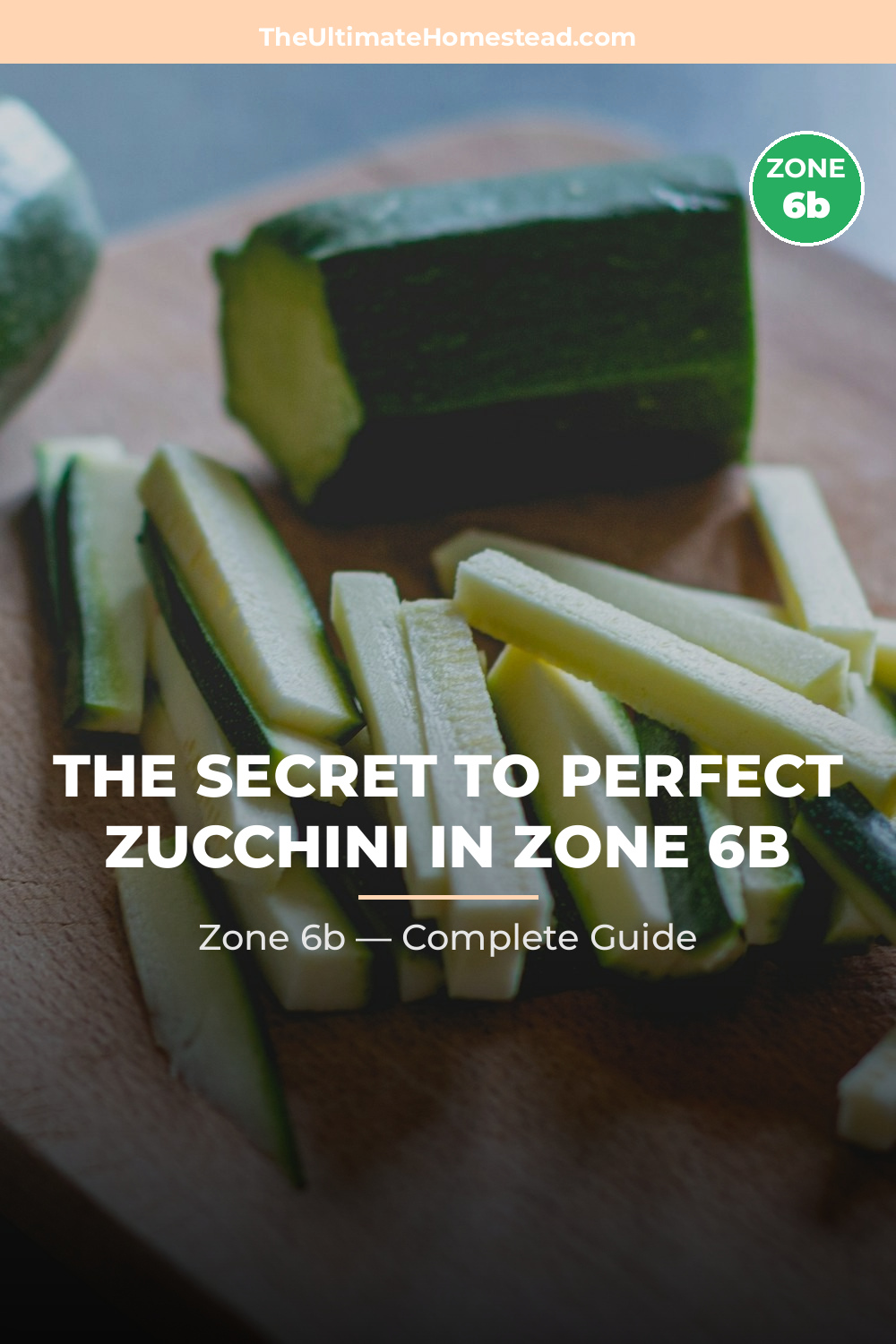 When to Plant Zucchini in Zone 6b