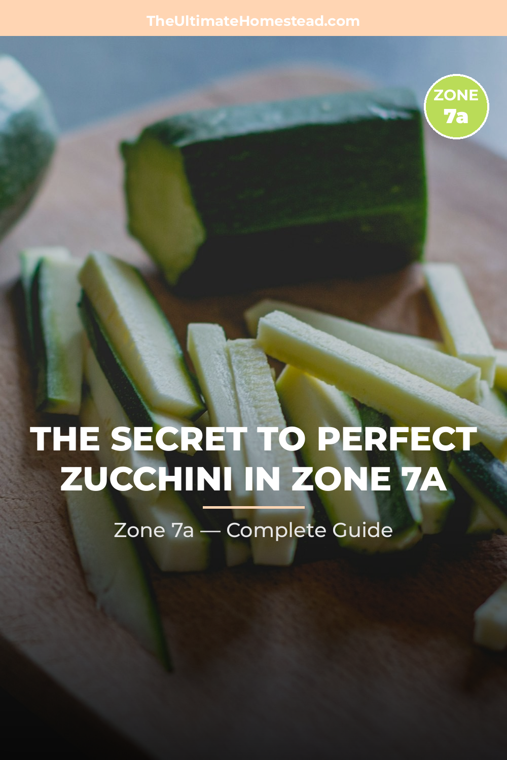 When to Plant Zucchini in Zone 7a