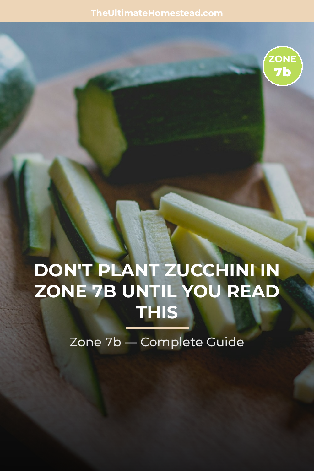 When to Plant Zucchini in Zone 7b