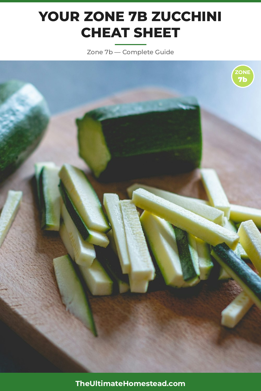 When to Plant Zucchini in Zone 7b