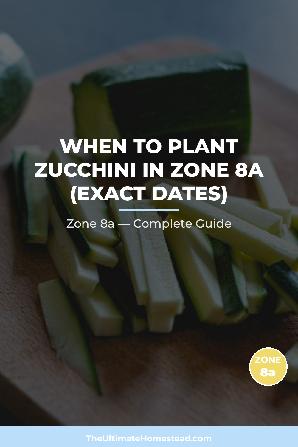When to Plant Zucchini in Zone 8a