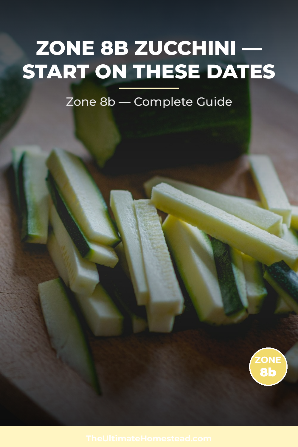 When to Plant Zucchini in Zone 8b