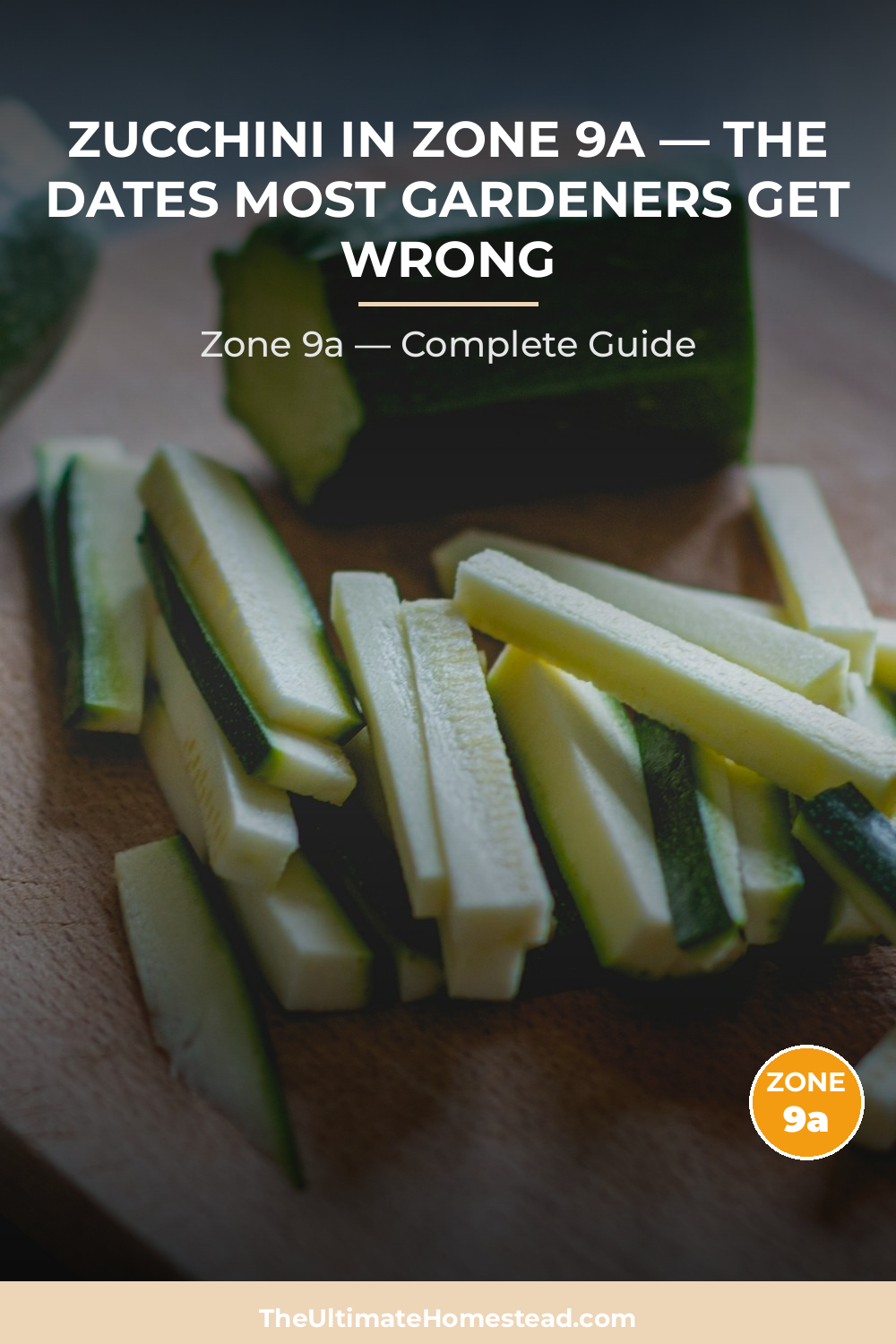 When to Plant Zucchini in Zone 9a