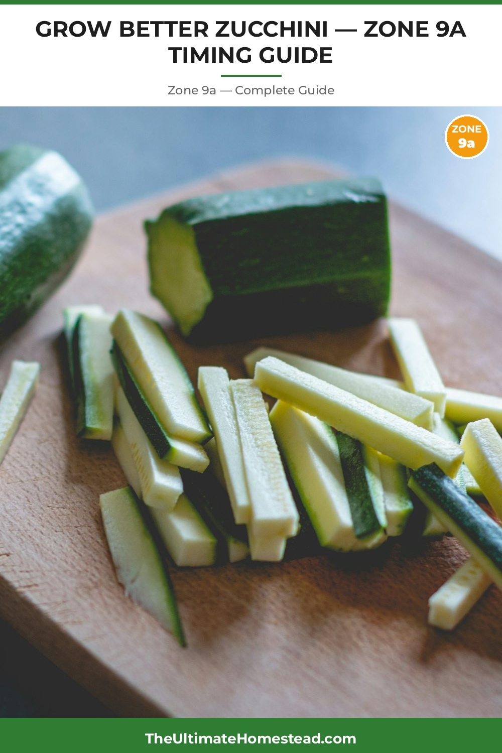 When to Plant Zucchini in Zone 9a
