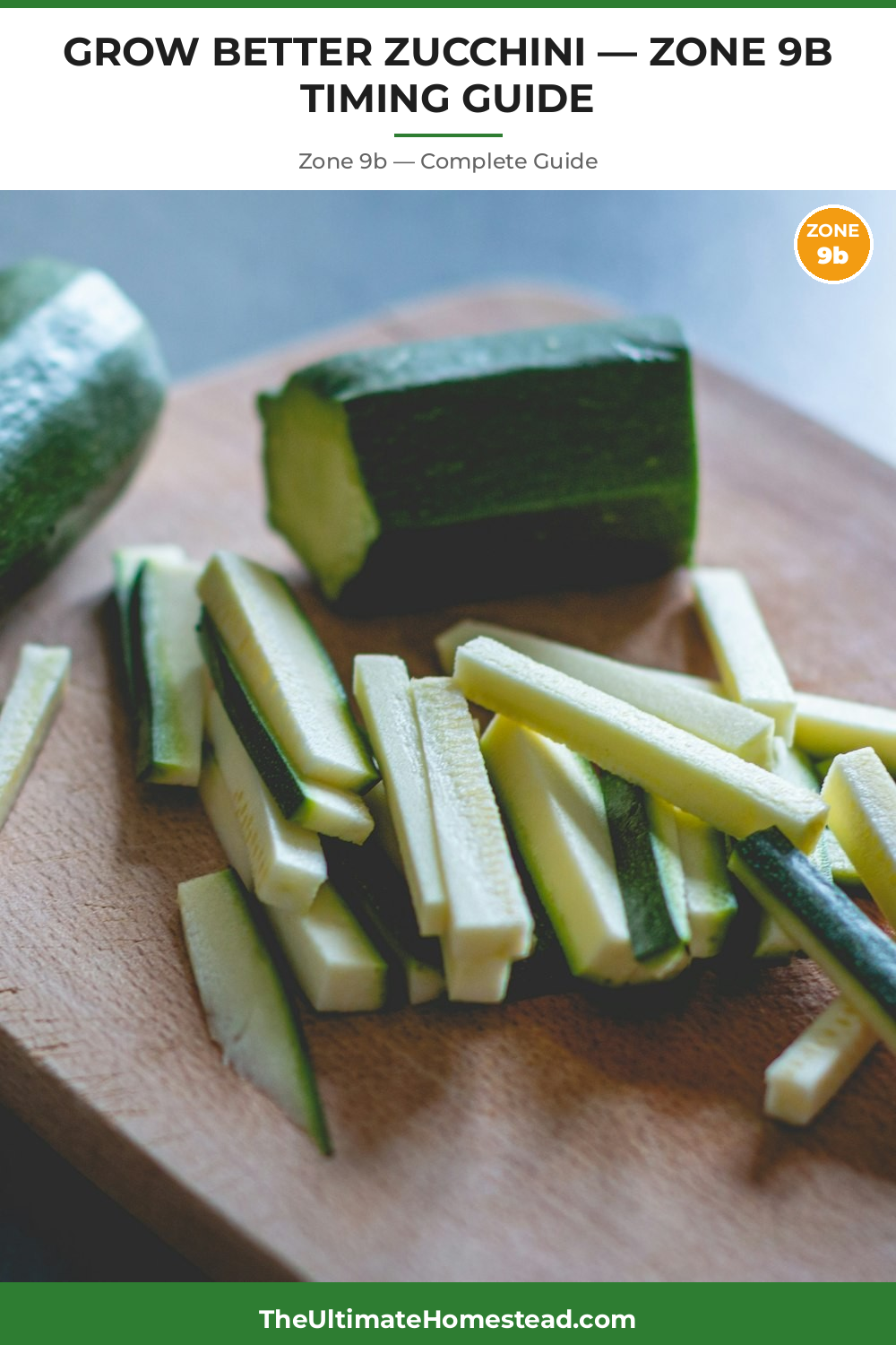 When to Plant Zucchini in Zone 9b