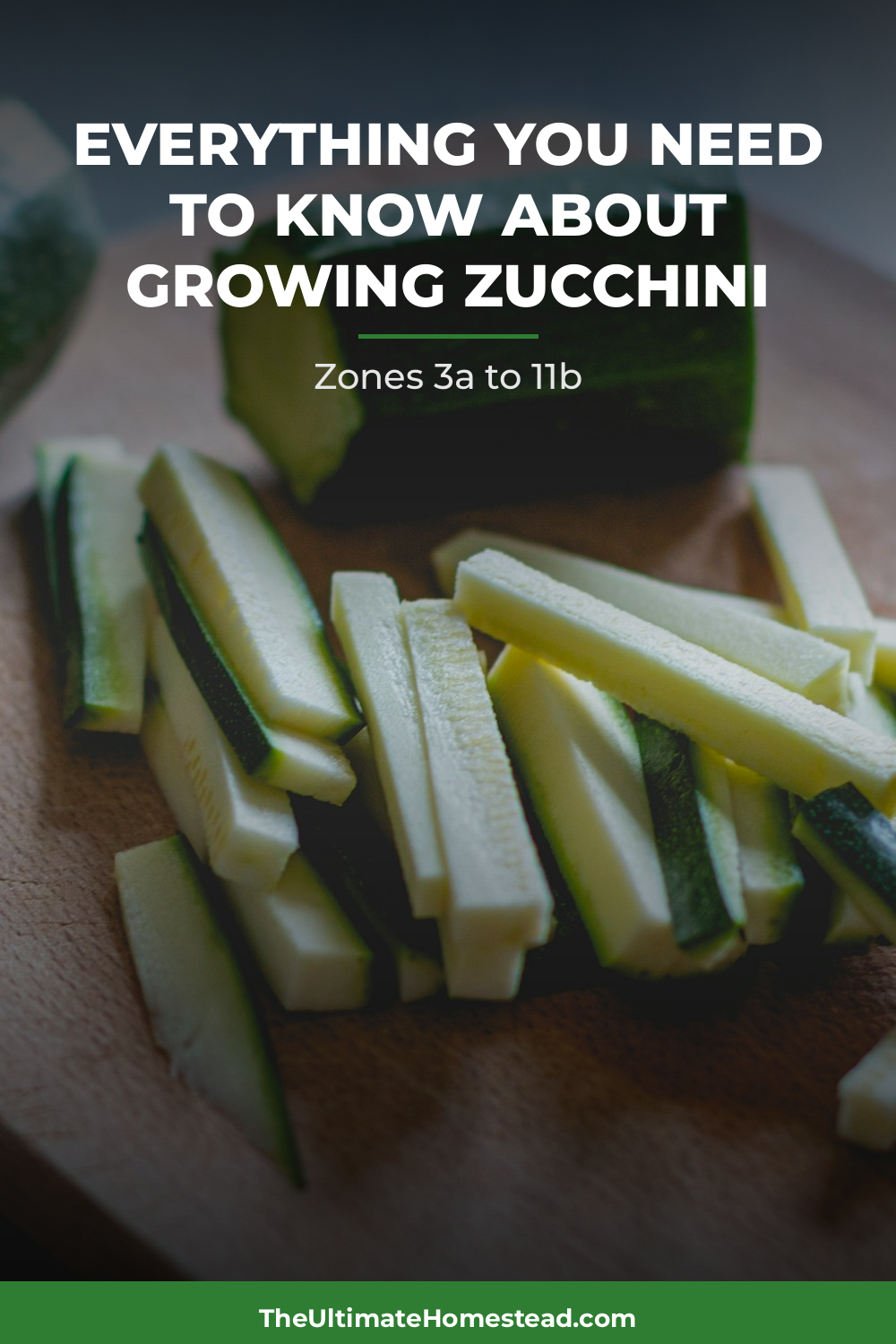 Zucchini Planting Guide