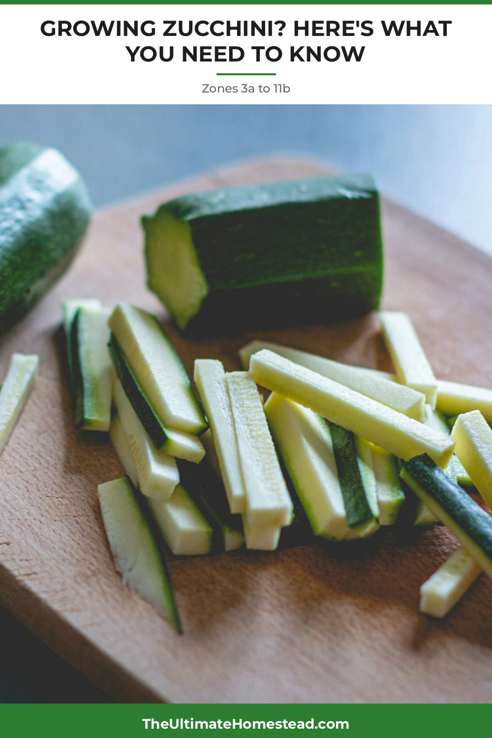 Zucchini Planting Guide