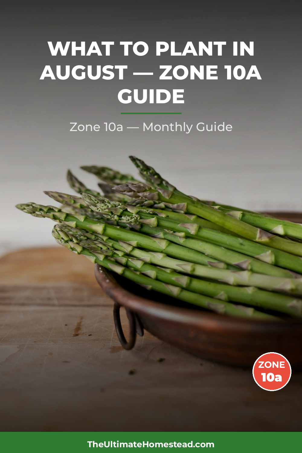 Zone 10a Planting Calendar