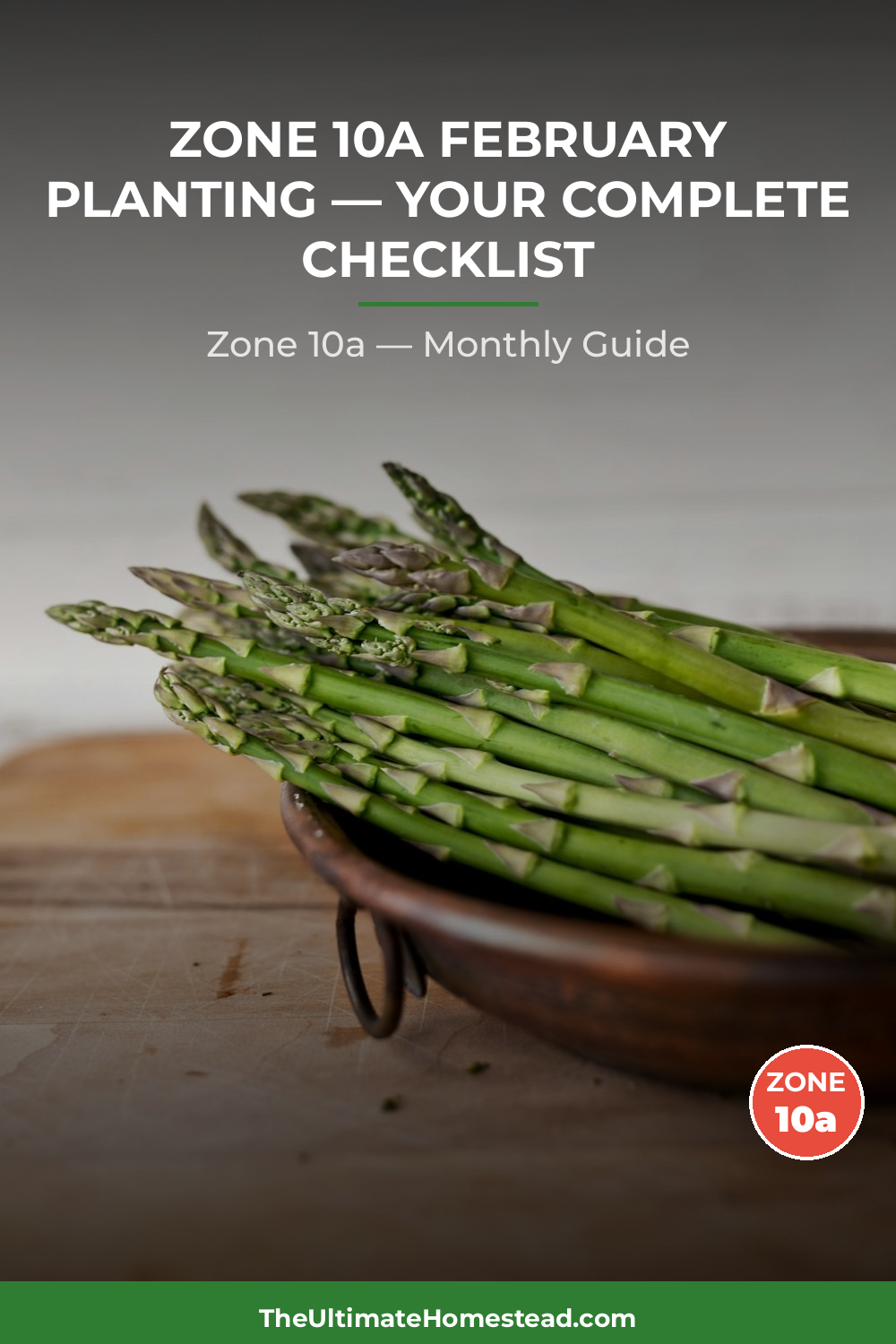 Zone 10a Planting Calendar