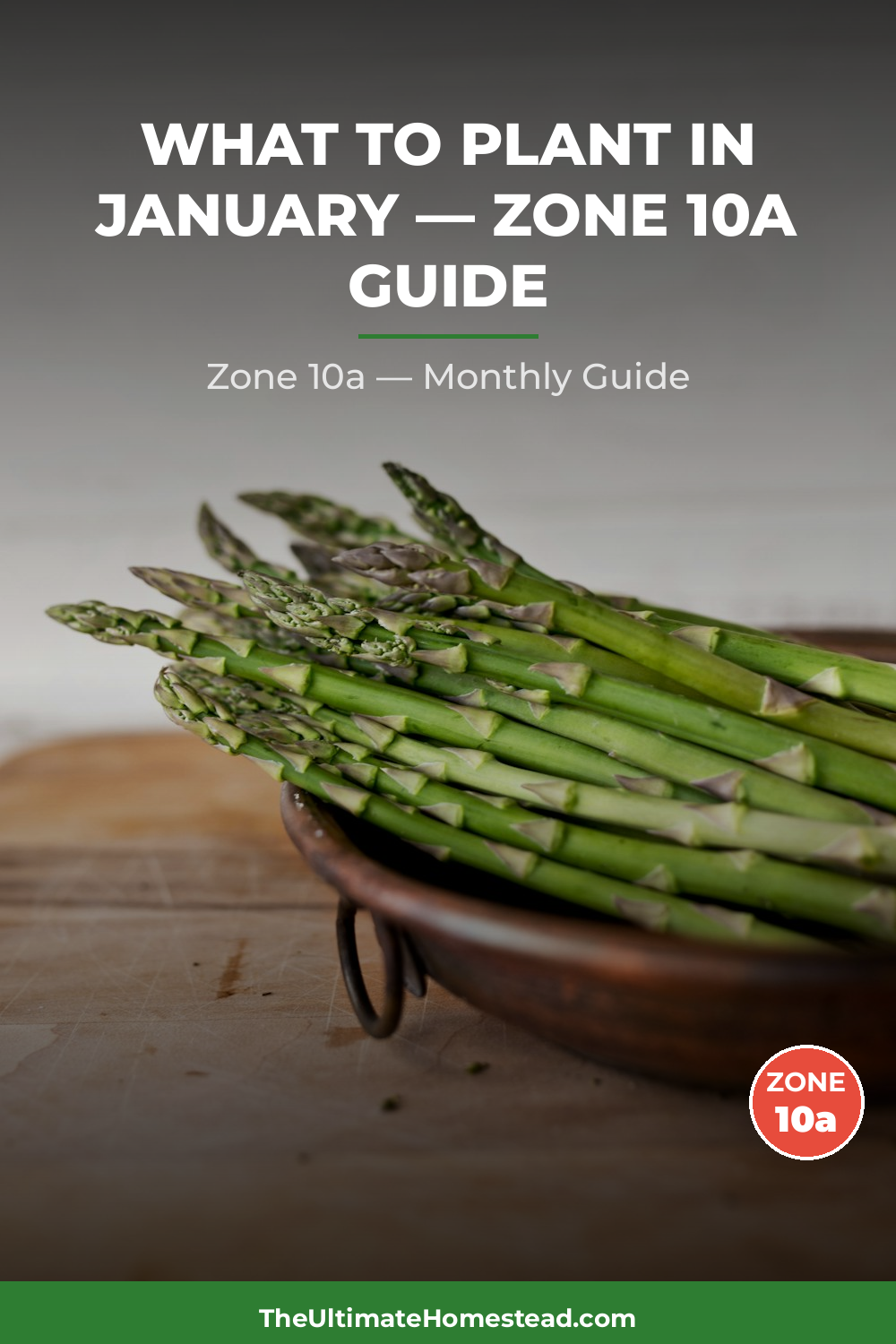 Zone 10a Planting Calendar