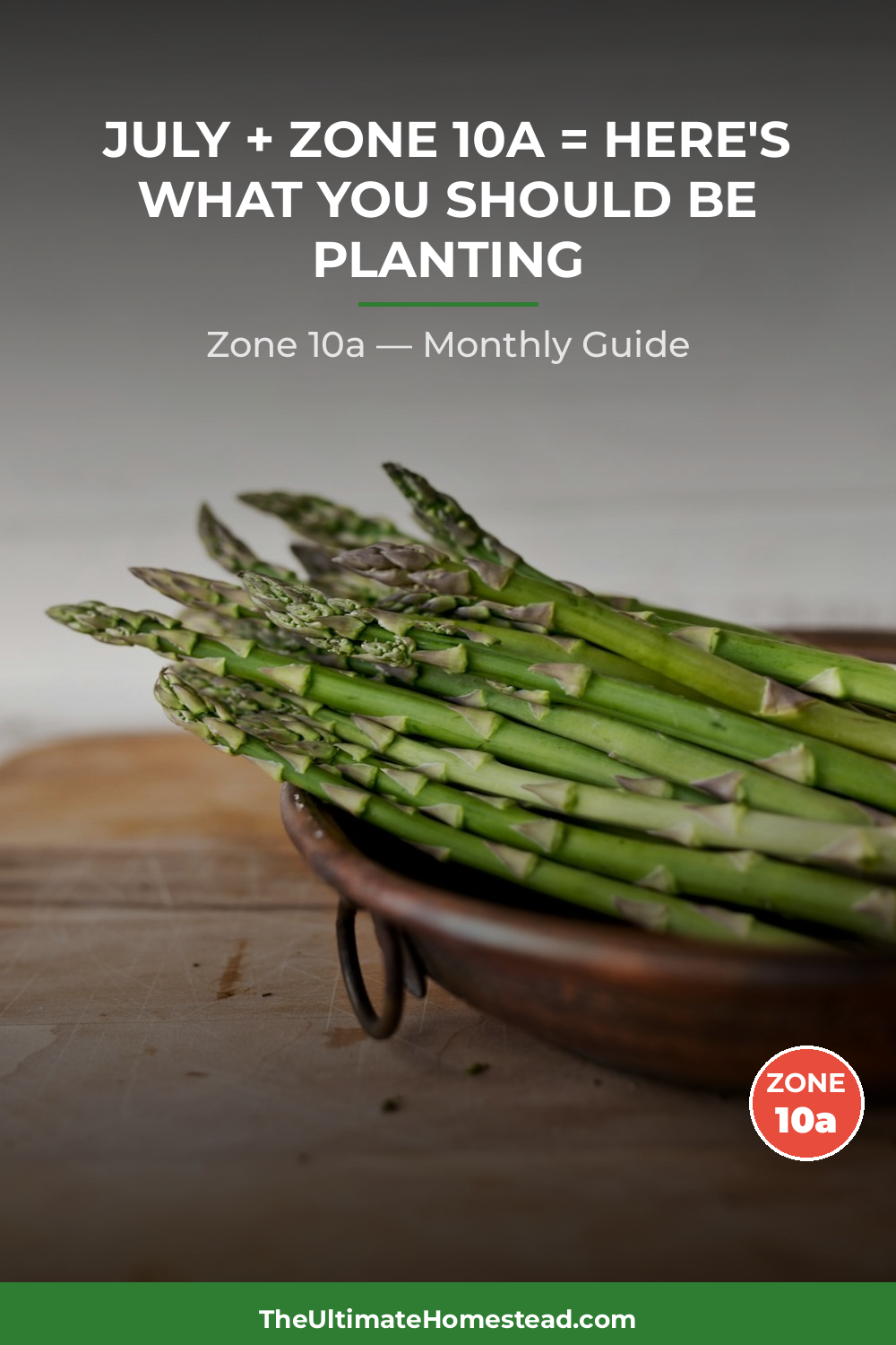 Zone 10a Planting Calendar