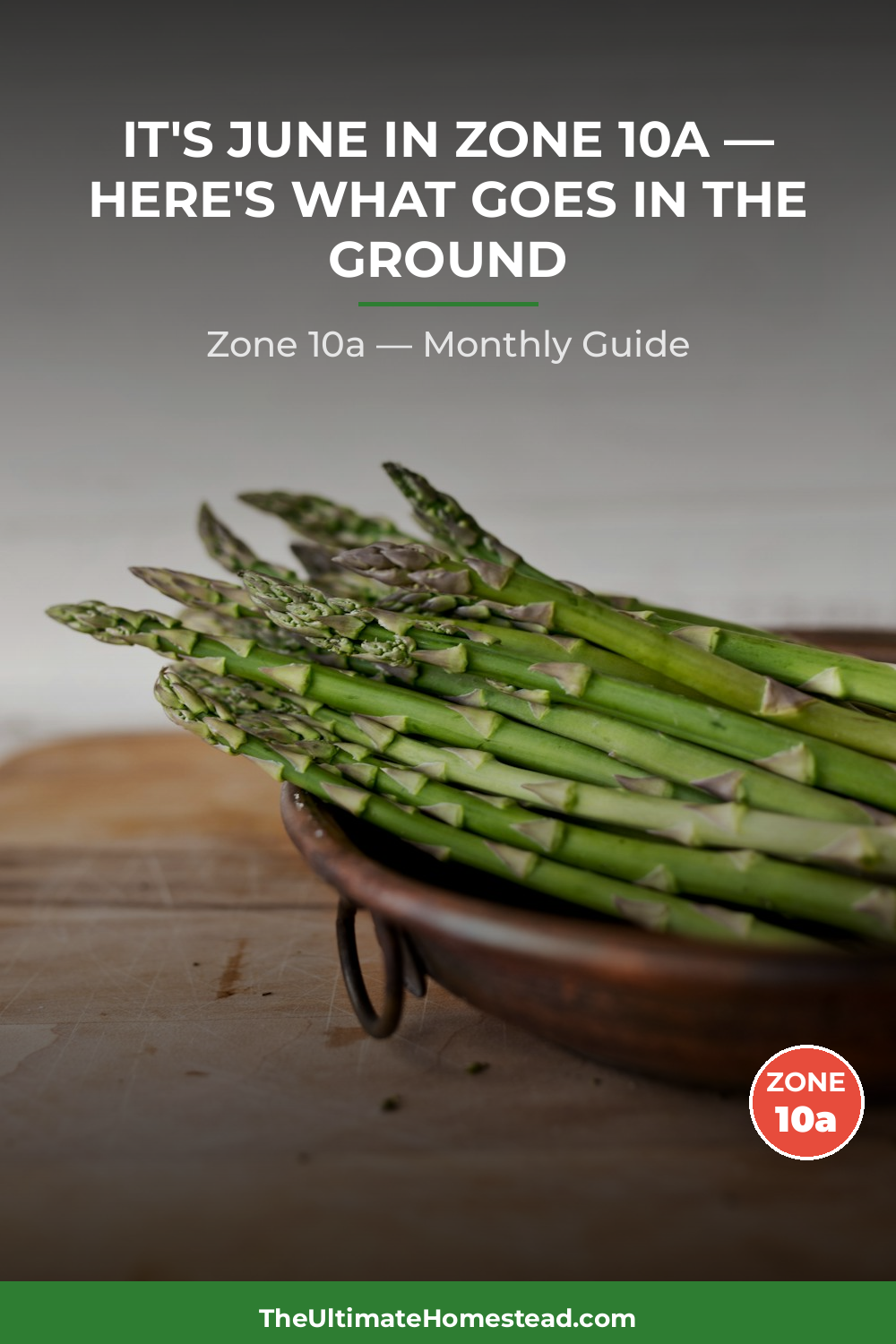 Zone 10a Planting Calendar