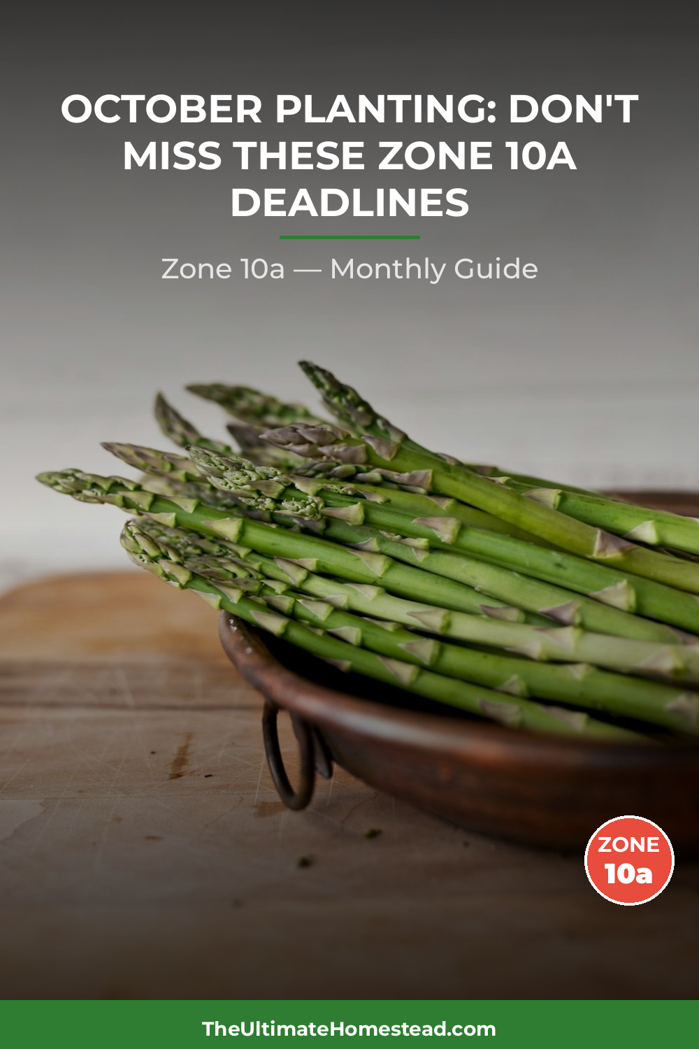 Zone 10a Planting Calendar