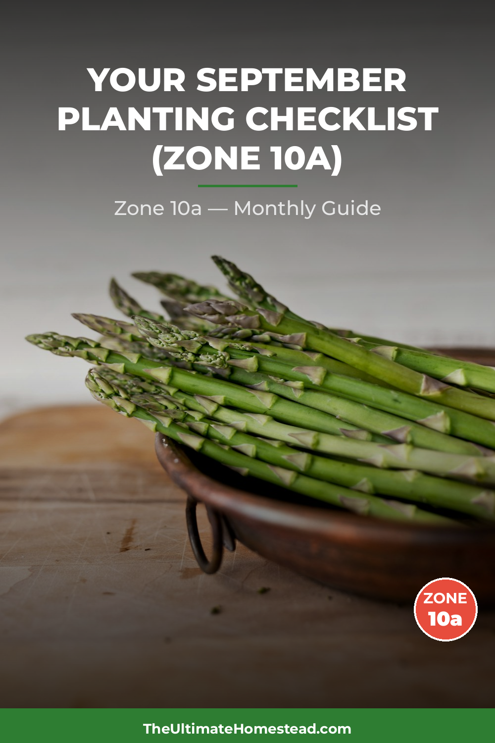 Zone 10a Planting Calendar