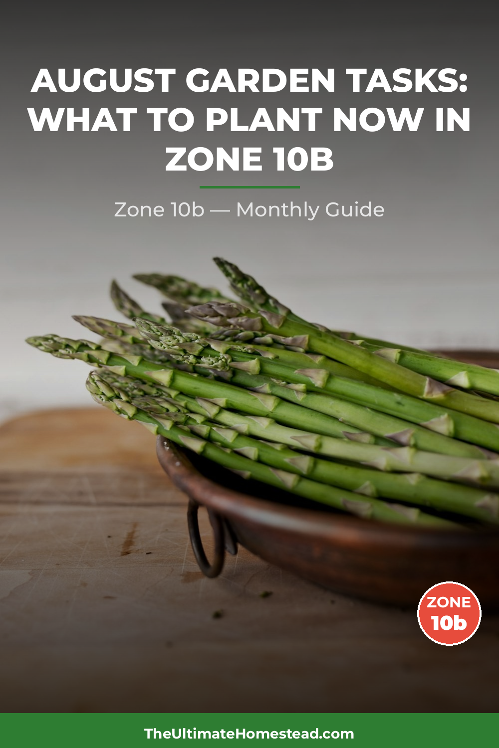 Zone 10b Planting Calendar