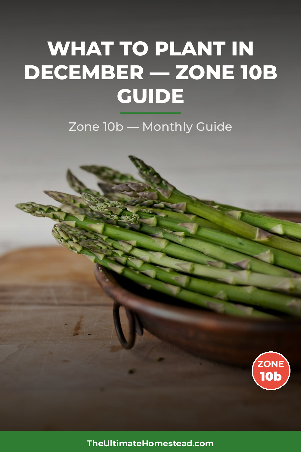 Zone 10b Planting Calendar