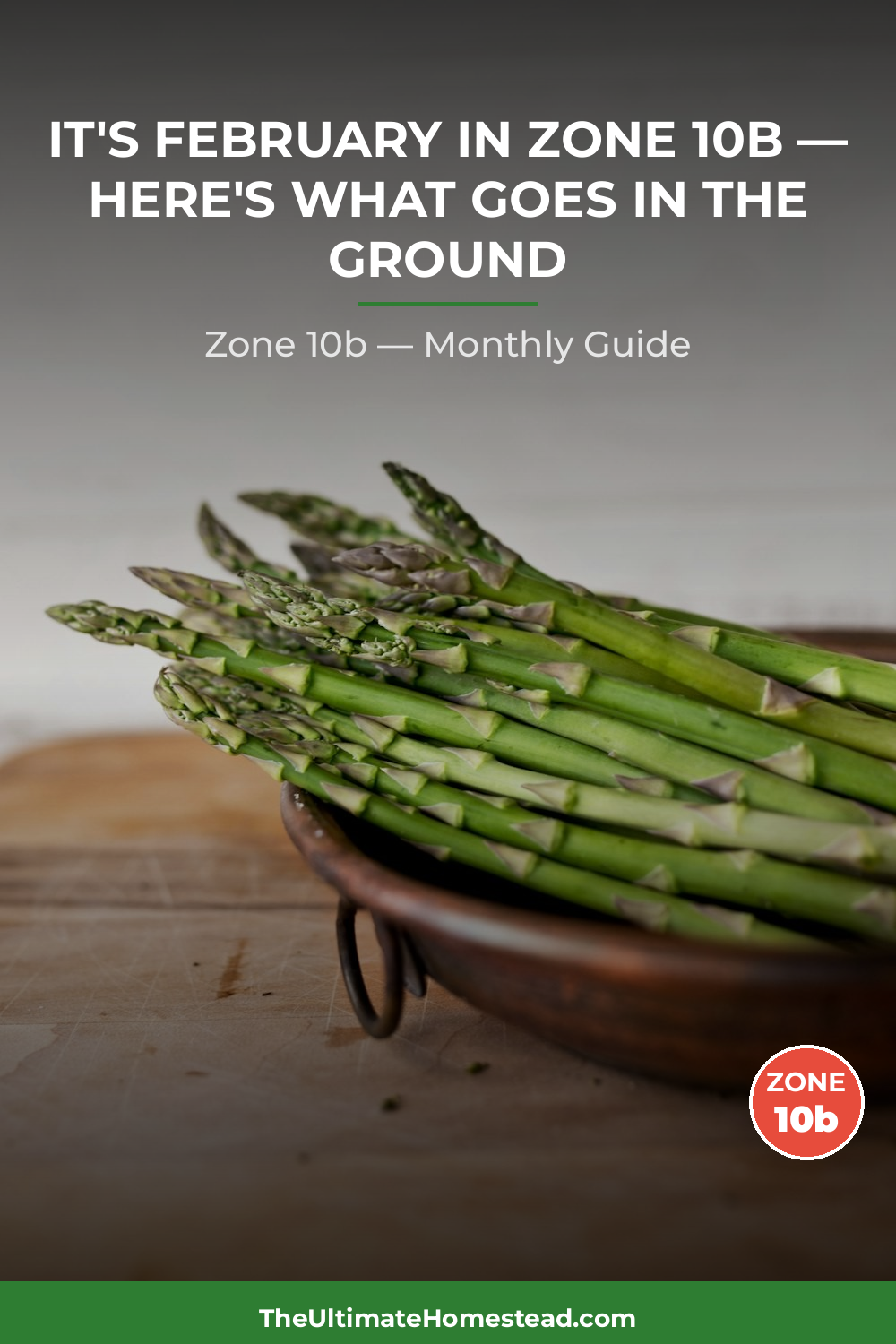 Zone 10b Planting Calendar