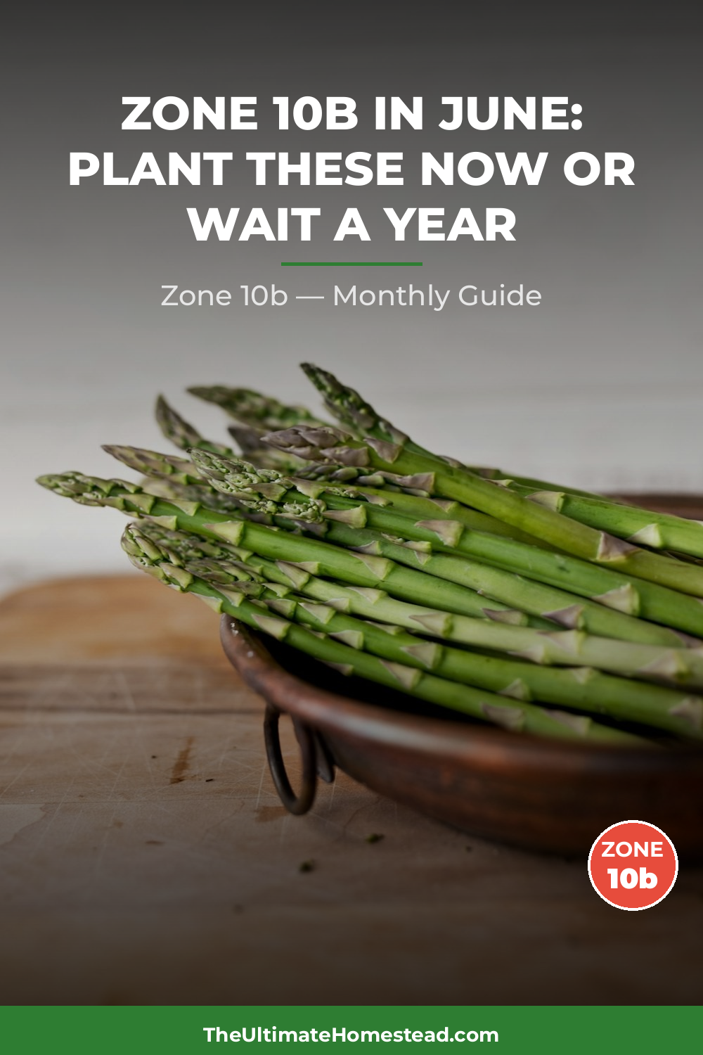 Zone 10b Planting Calendar