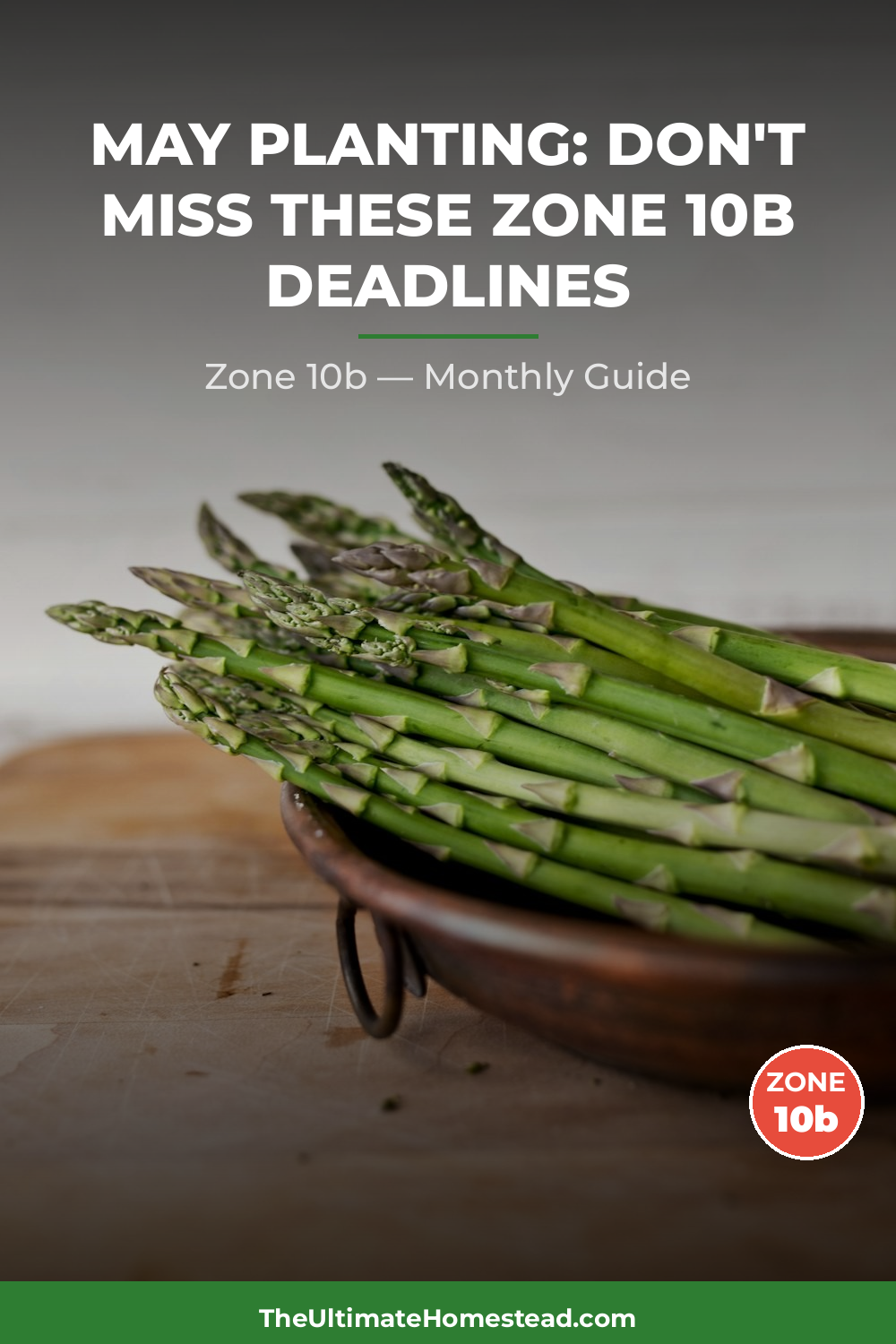 Zone 10b Planting Calendar