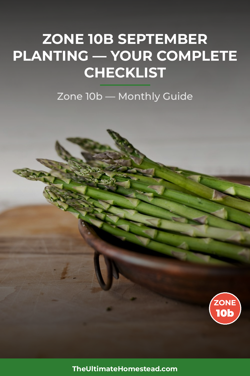 Zone 10b Planting Calendar