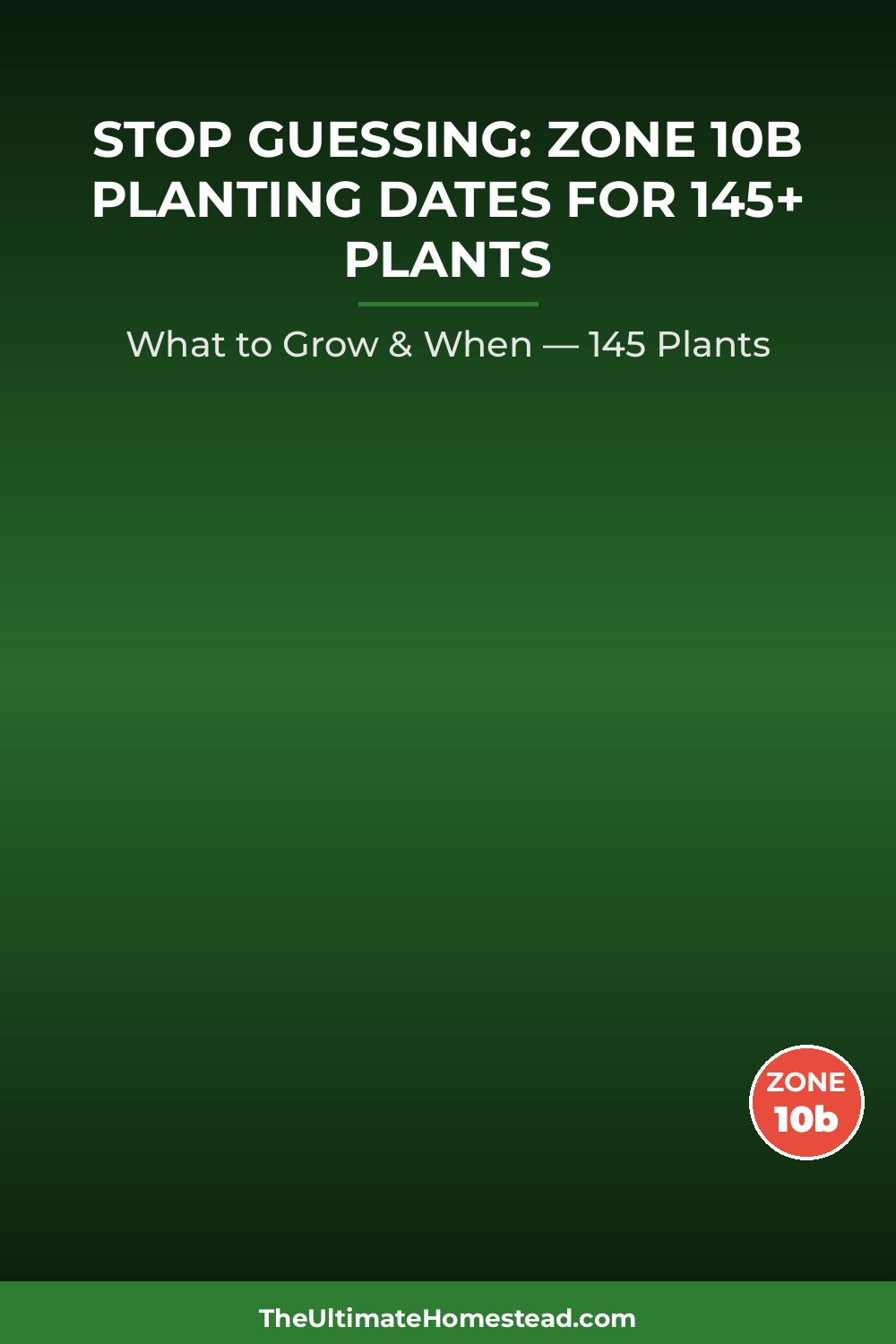 Zone 10b Planting Calendar