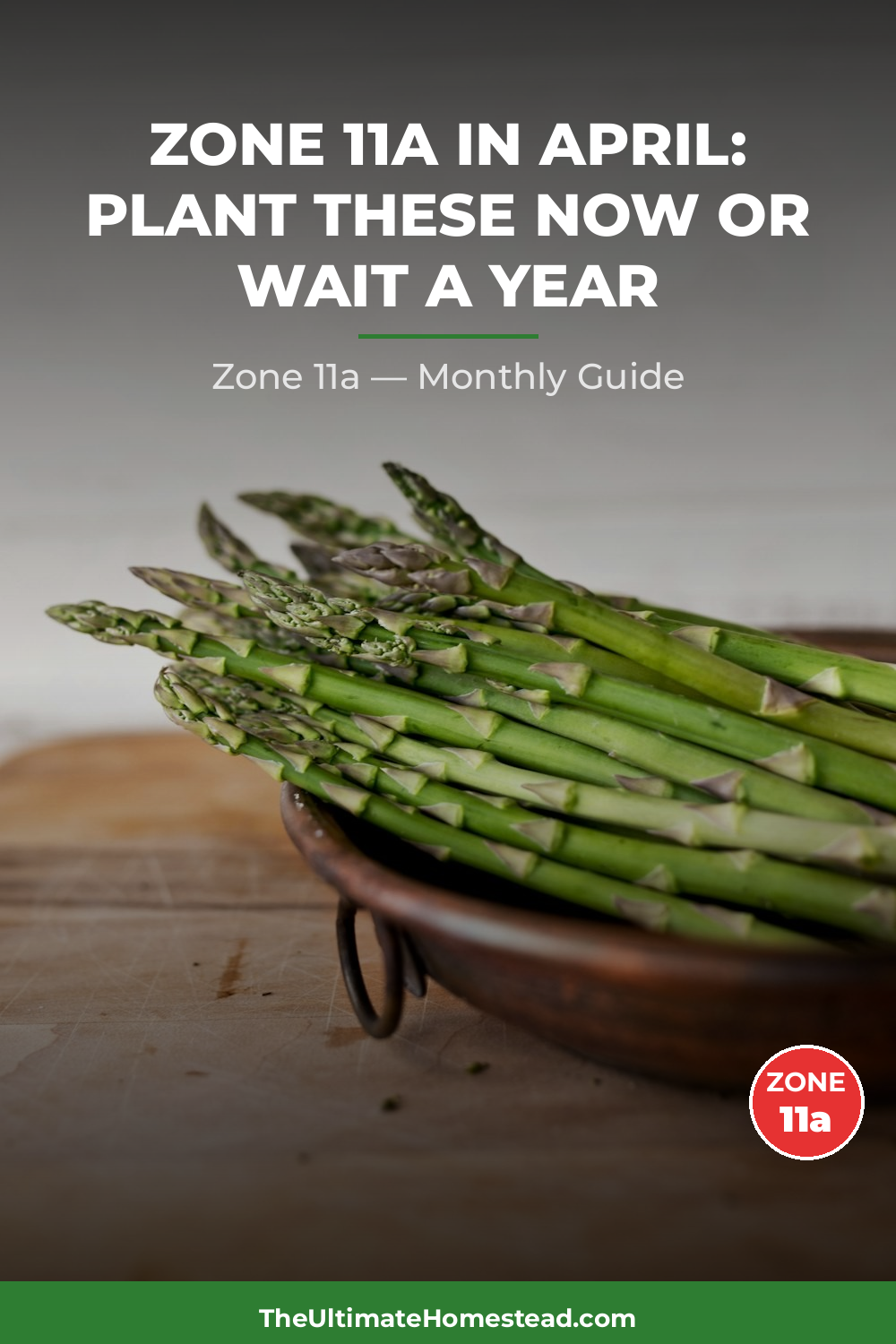 Zone 11a Planting Calendar