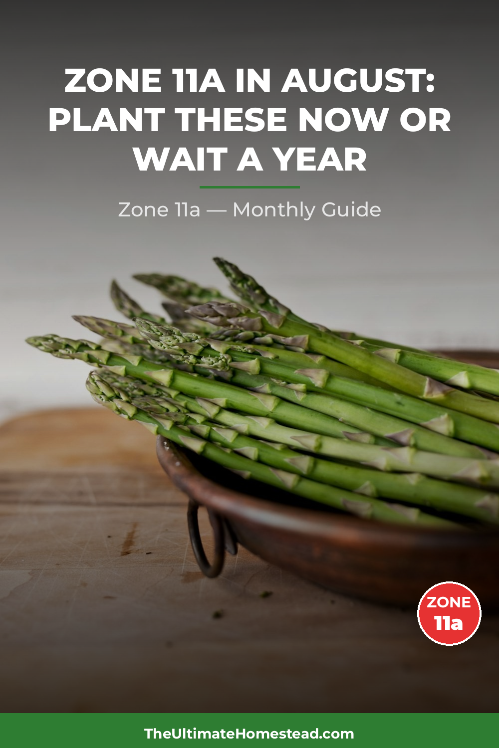 Zone 11a Planting Calendar
