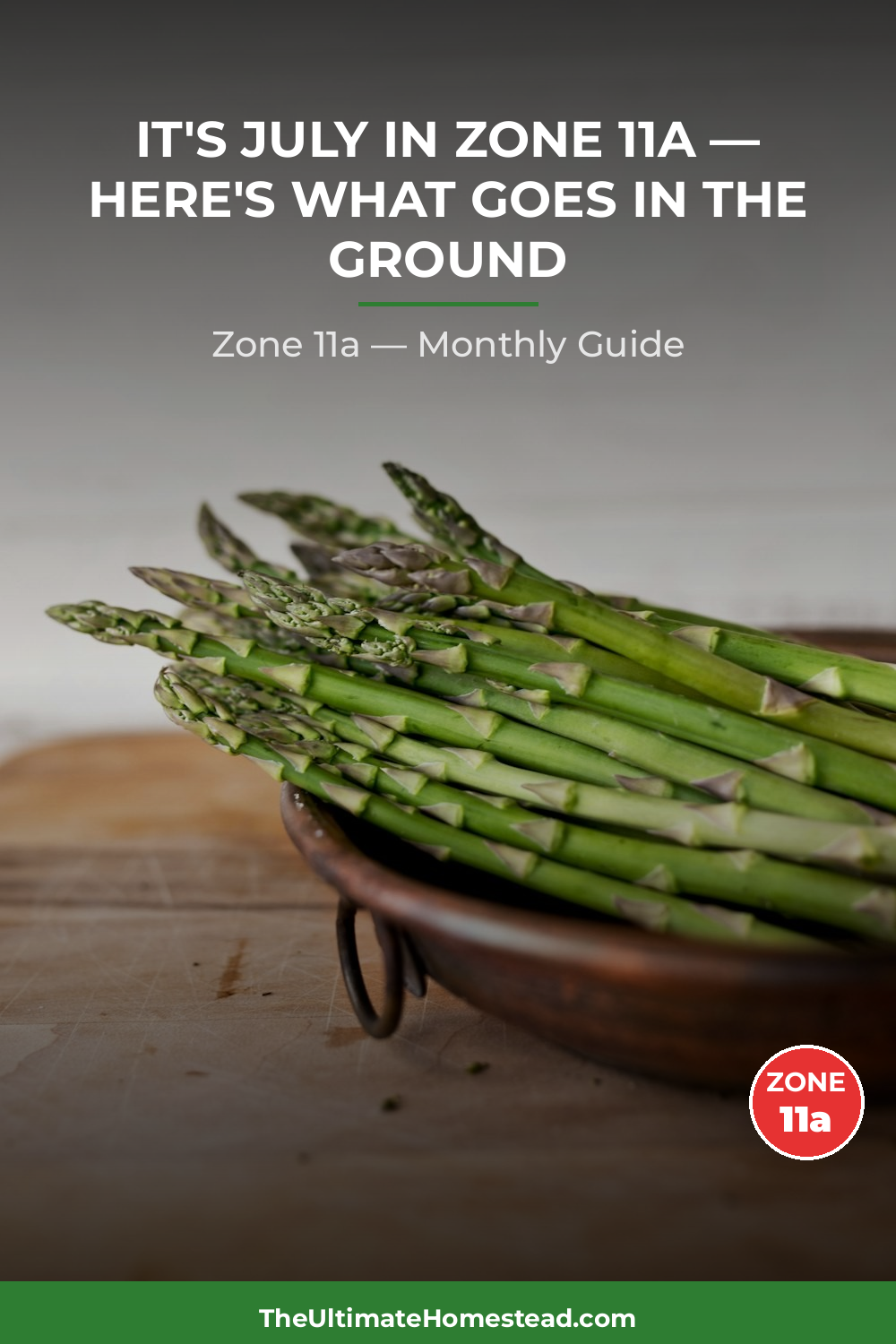 Zone 11a Planting Calendar