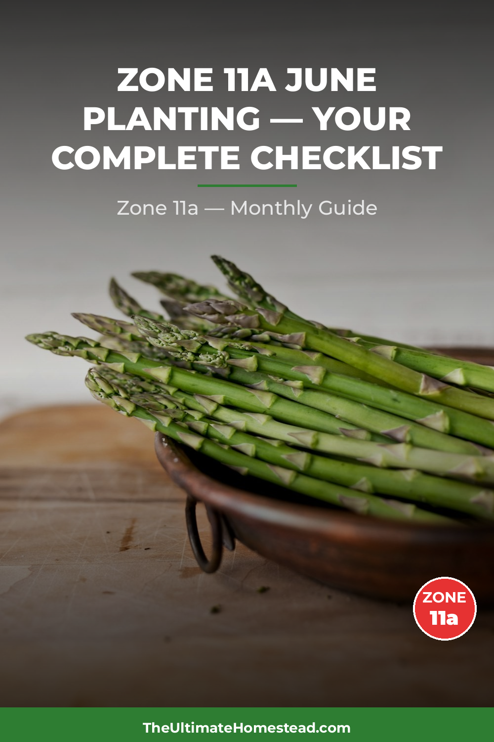 Zone 11a Planting Calendar
