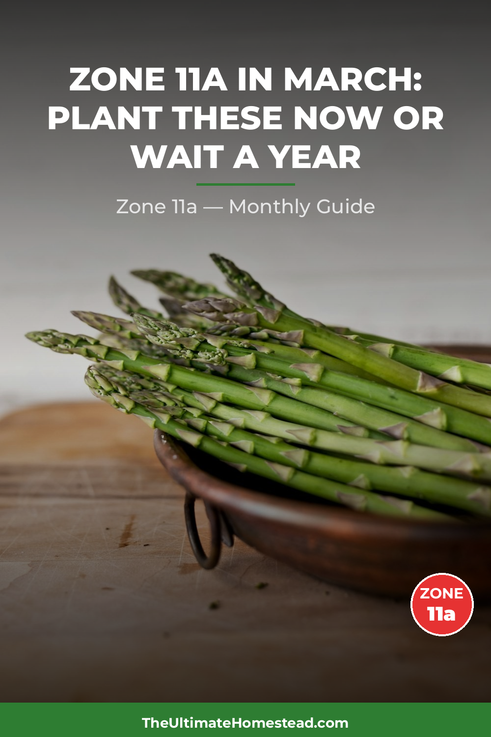 Zone 11a Planting Calendar