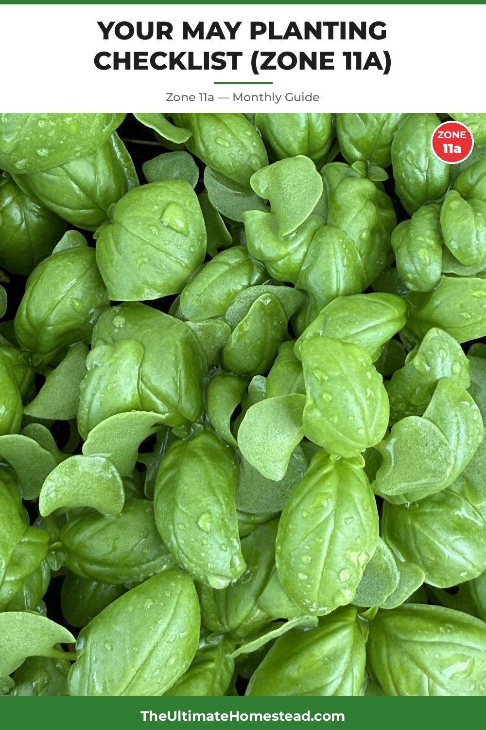 Zone 11a Planting Calendar