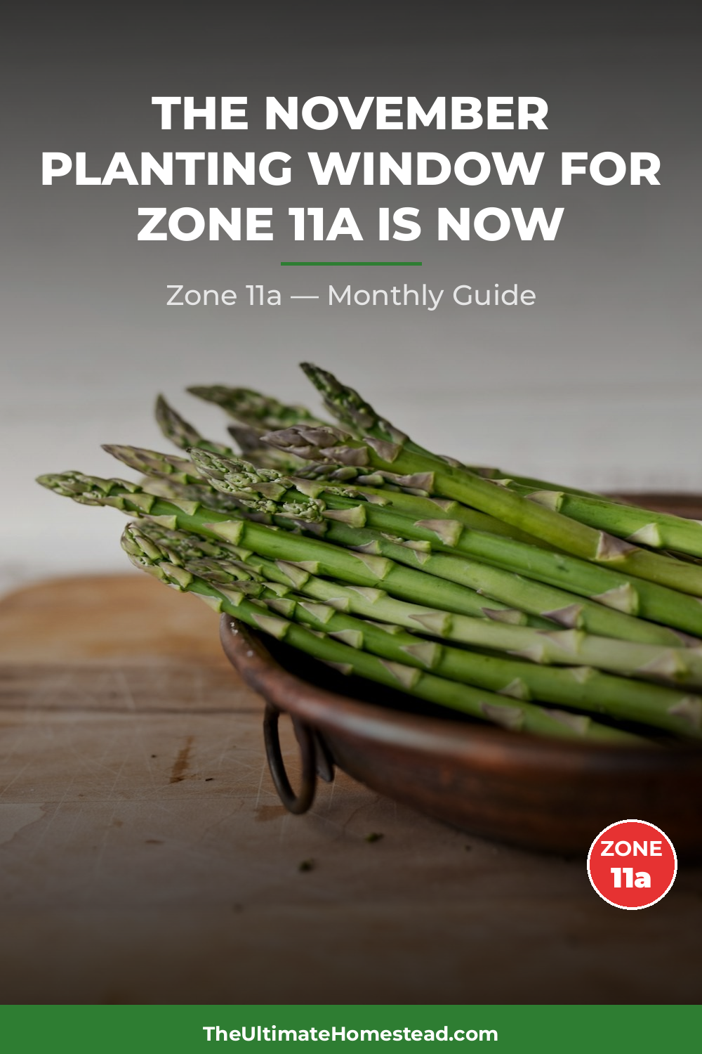 Zone 11a Planting Calendar