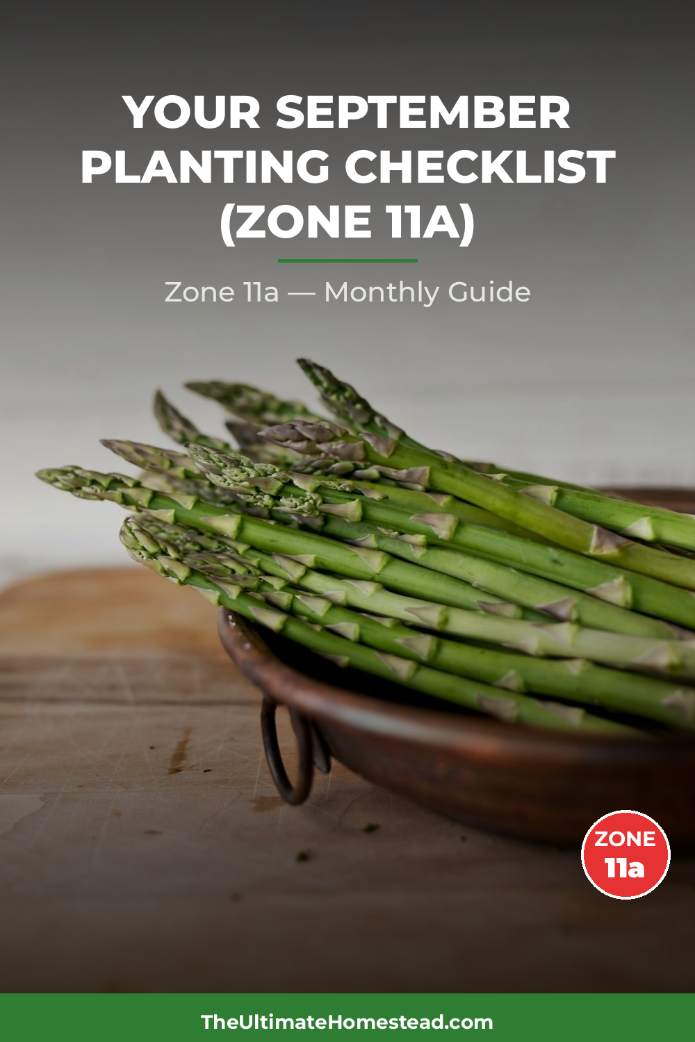 Zone 11a Planting Calendar
