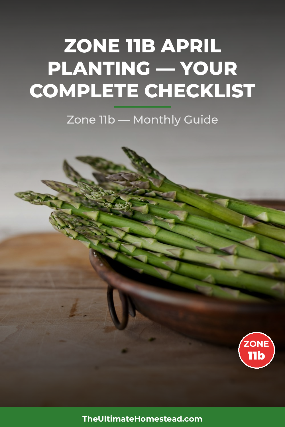 Zone 11b Planting Calendar