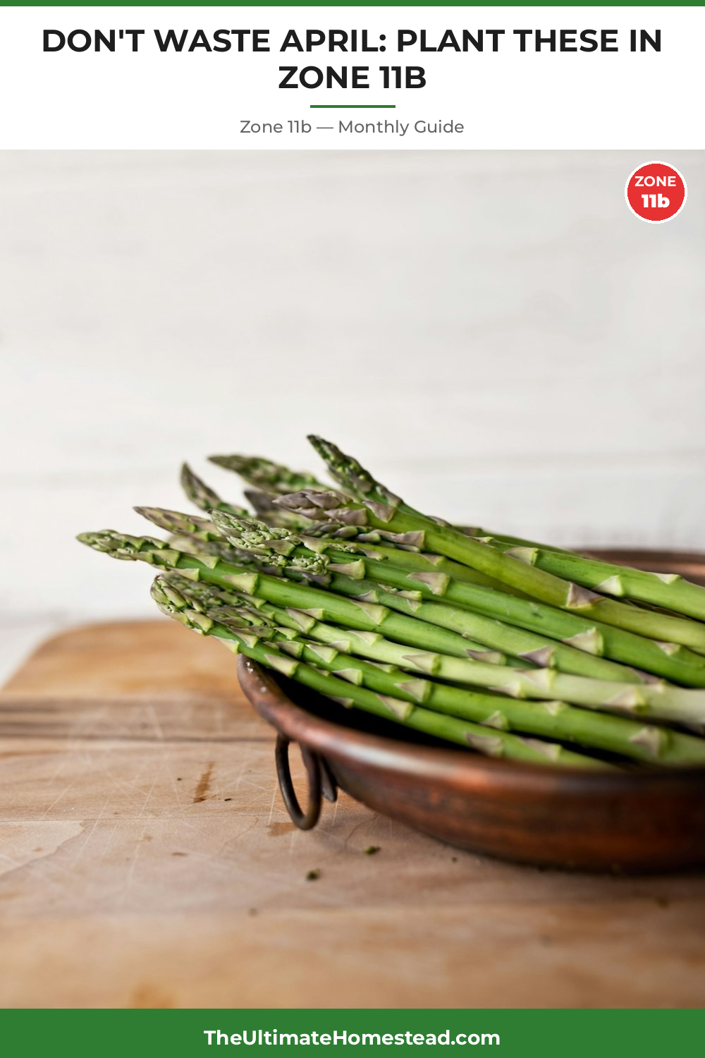 Zone 11b Planting Calendar