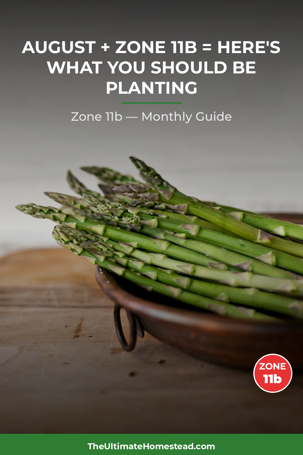 Zone 11b Planting Calendar