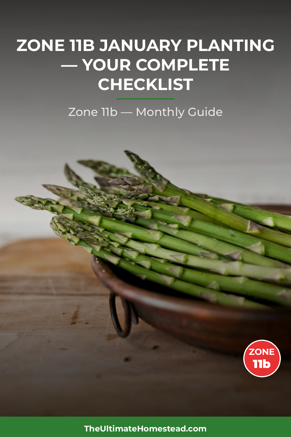 Zone 11b Planting Calendar