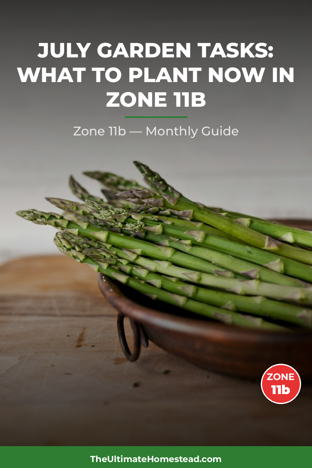 Zone 11b Planting Calendar