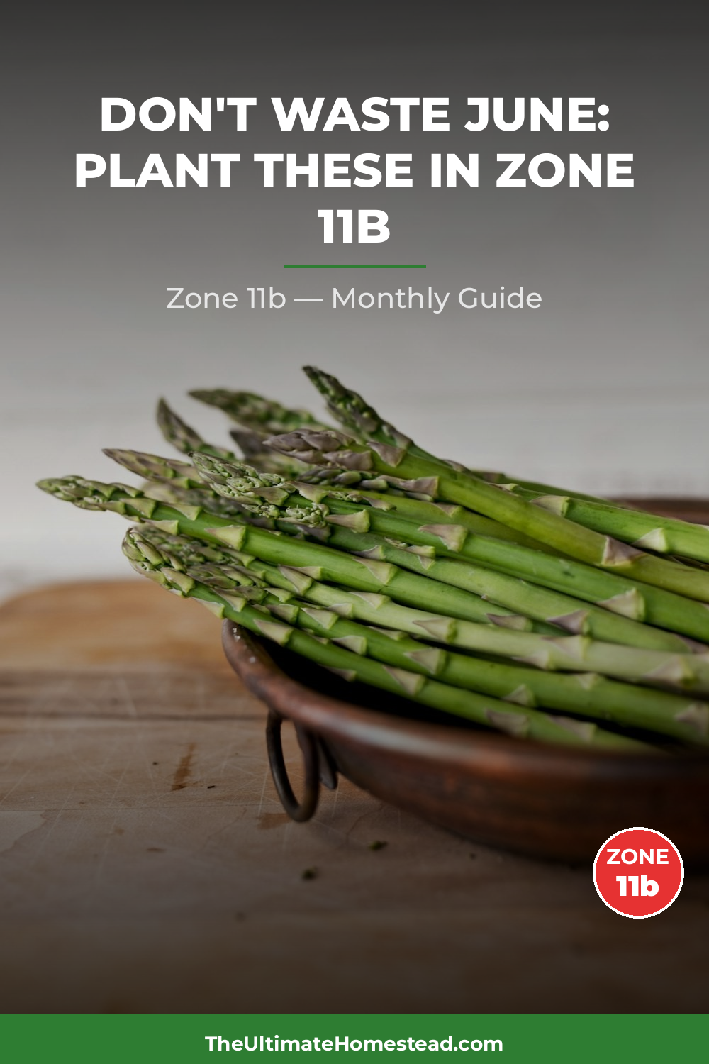 Zone 11b Planting Calendar
