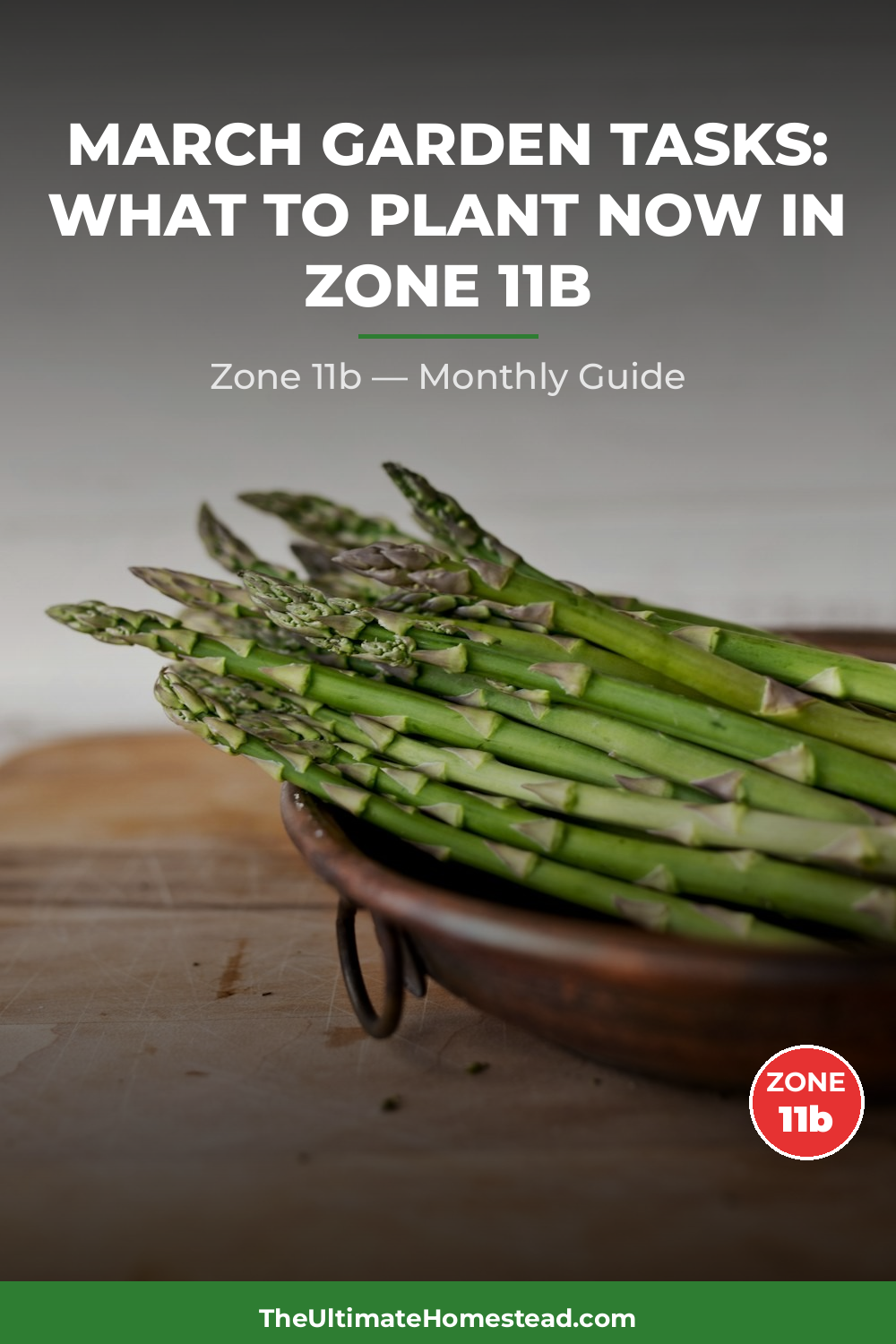 Zone 11b Planting Calendar